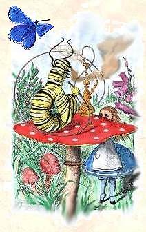 Alice & Caterpillar picture