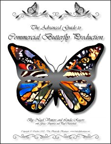 The Advanced Guide to Commercial Butterfly Production