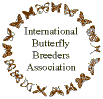 International Butterfly Breeders Association