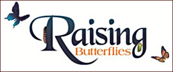 Raising Butterflies