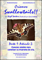 Let’s Raise Swallowtails Part I & Part II