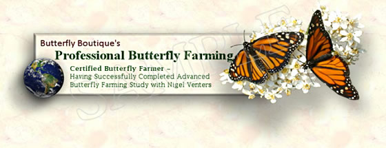 Professional Butterfly Farmer Certificate (sample)